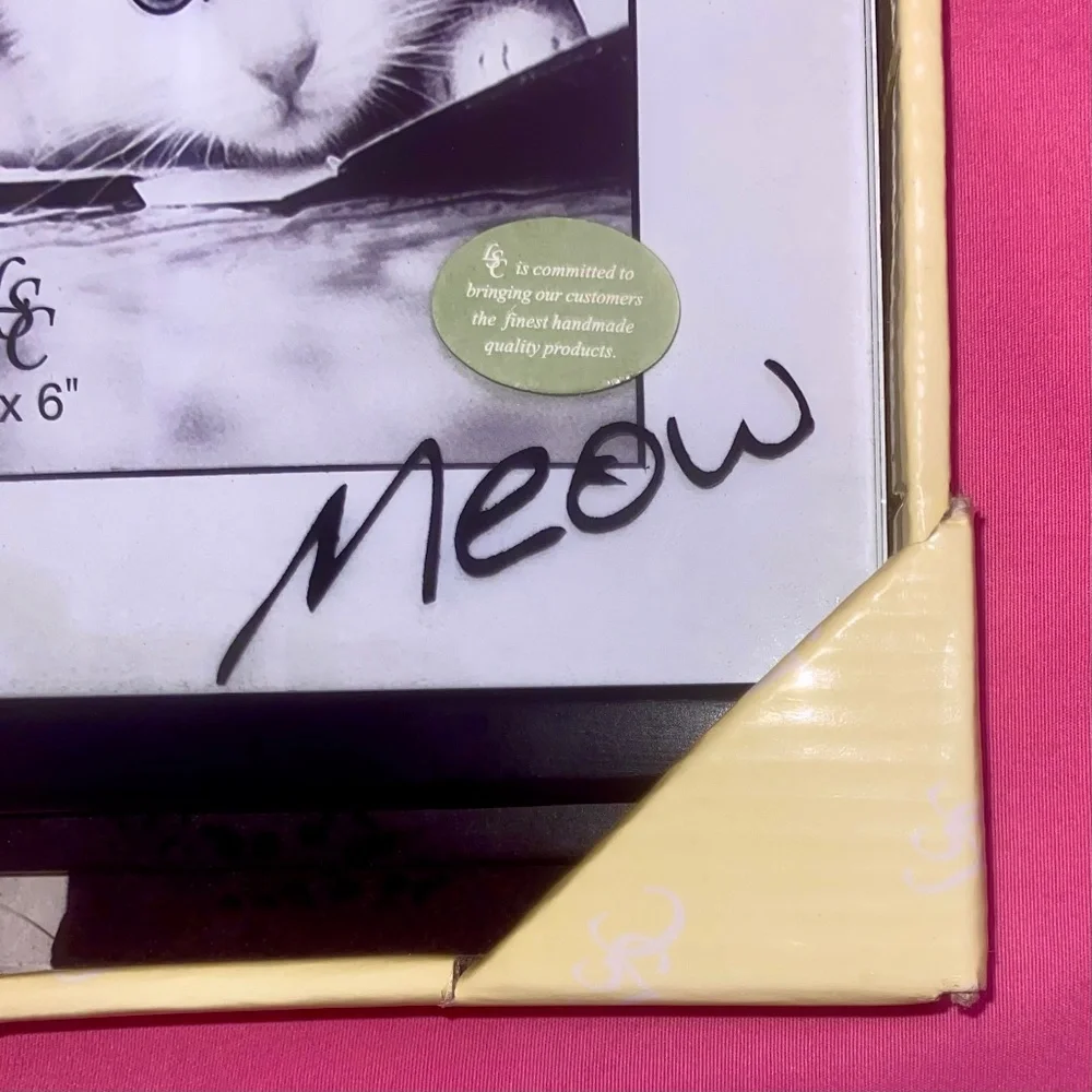 “Meow” Cat Picture Frame Glass Black White Border Kitten Kitty Pet Animal Home